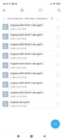 Screenshot_2021-03-09-23-11-00-059 - Kopie.jpg