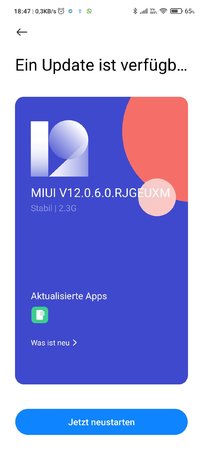 Screenshot_2021-03-10-18-47-27-501_com.android.updater.jpg