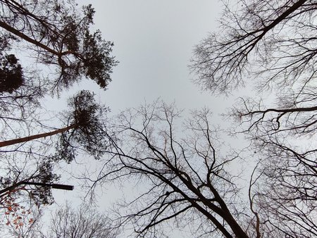 IMG_20210301_174913_1.jpg