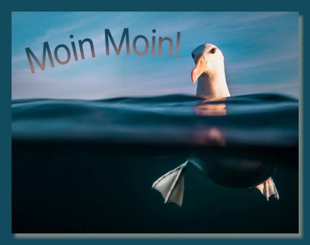 Moin-Moin.jpg