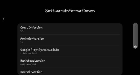 Screenshot_20210315-131356_Settings.jpg