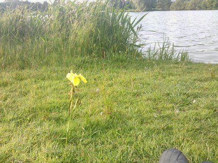 IMAG0134.jpg