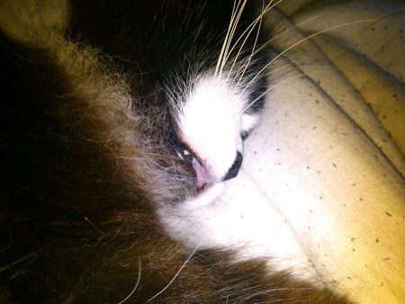 IMG_20120710_115438.jpg