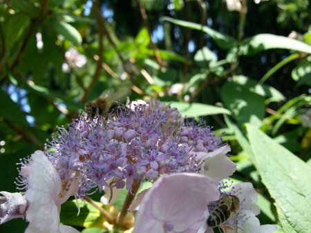 20120714_145511.jpg