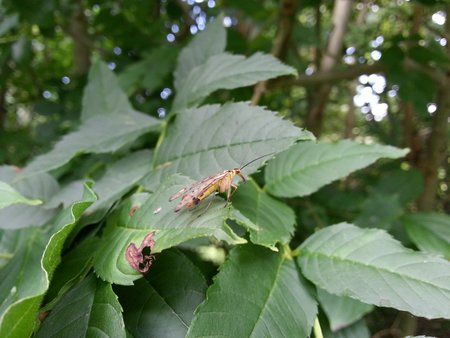 20120714_143330.jpg