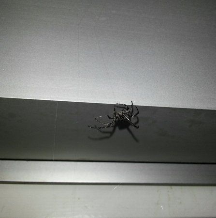 20120713_232926-1.jpg