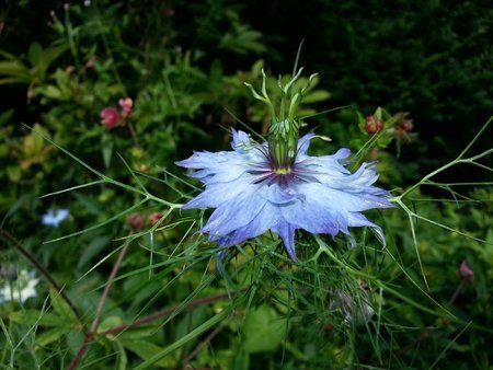 2012-07-15 09.54.36.jpg