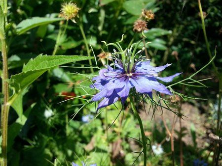2012-07-15 09.53.56.jpg