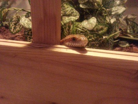 2012-07-14 19.28.35.jpg