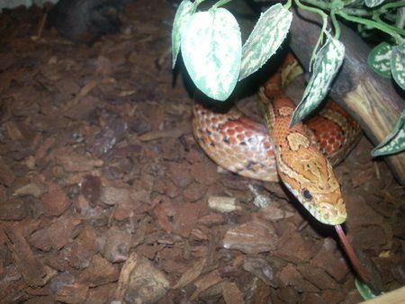 2012-07-15 21.04.35.jpg
