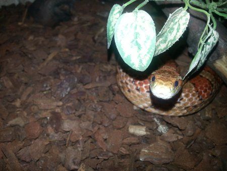 2012-07-15 21.04.31.jpg
