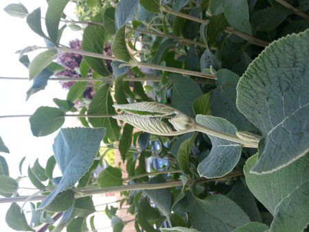 20120715_170535.jpg