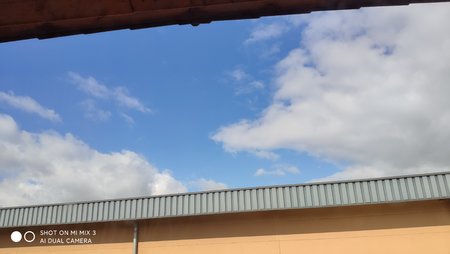 IMG_20210316_120814.jpg