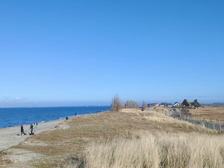 IMG_20210316_155118.JPG