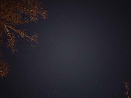 IMG_20210316_211130286.jpg
