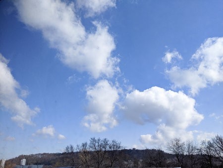 PSX_20210319_103148.jpg