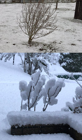 Schnee-im-März.JPG