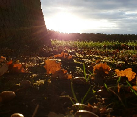 20201026_162116_1.jpg