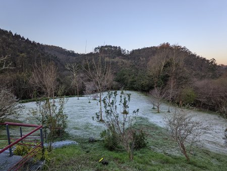 PXL_20210321_064009101.jpg