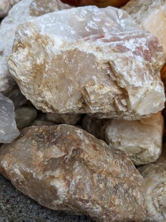 PXL_20210321_142057349.jpg