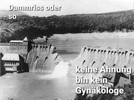 ajm96YQ_460s.jpg