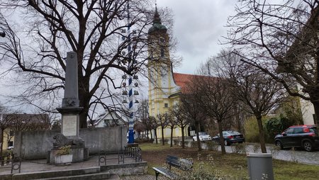 IMG_20210322_115948.jpg