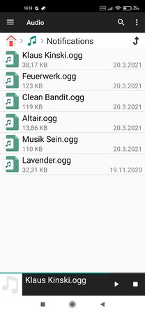 Screenshot_2021-03-20-14-14-58-530_com.alphainventor.filemanager.jpg
