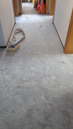 PXL_20210325_090132861.jpg