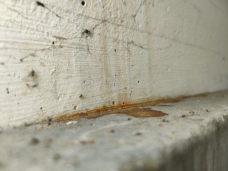 IMG20210325214208.jpg