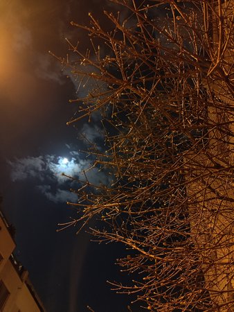 IMG20210325214618.jpg