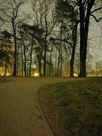 Huawei_P30_2.jpg