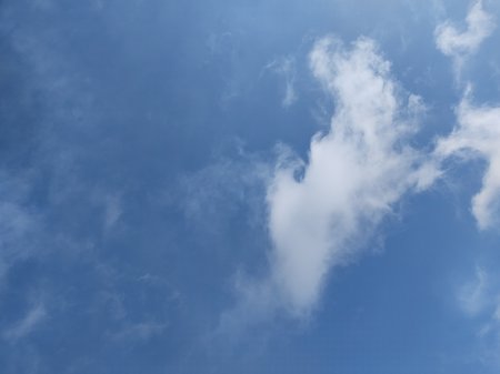 IMG_20210327_094349699.jpg