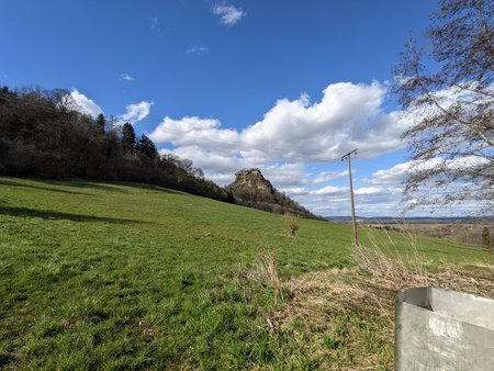 PXL_20210327_142844441.jpg