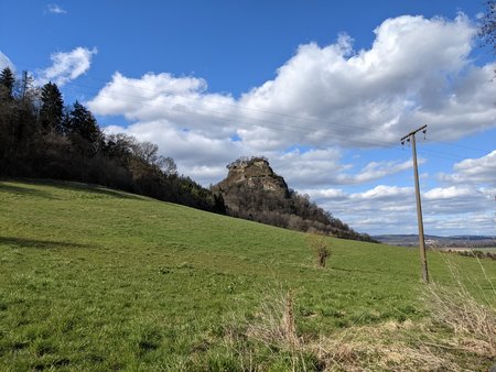 PXL_20210327_142848039.jpg