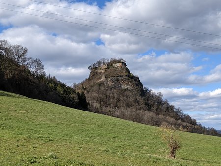 PXL_20210327_142852448.jpg