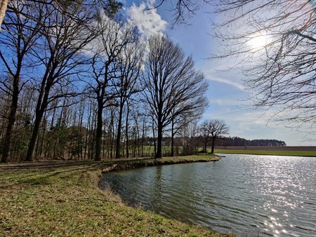 IMG_20210328_155848.jpg