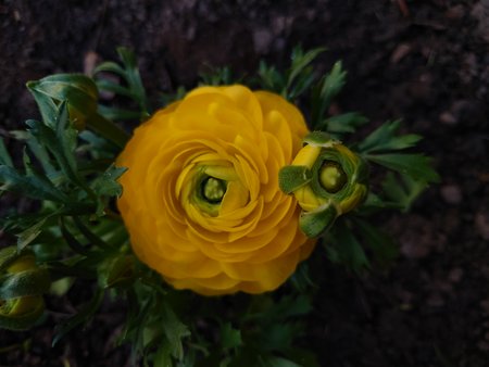 20210329_172445.JPG