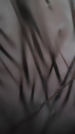 IMG20210330232858_01.jpg