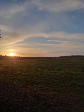 DSC_0099.JPG