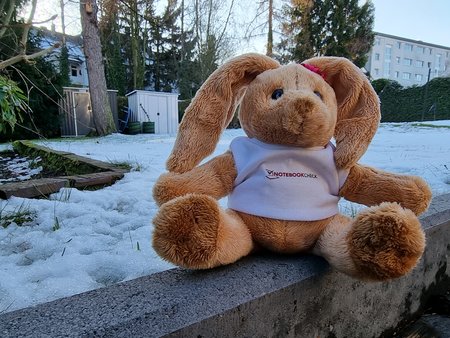 Foto_GalaxyS21Ultra_Hase.jpg