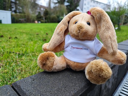 Foto_XiaomiMi11_Hase.jpg