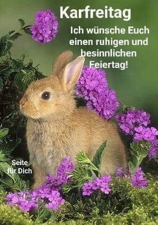 glückwünsche_27641.jpg