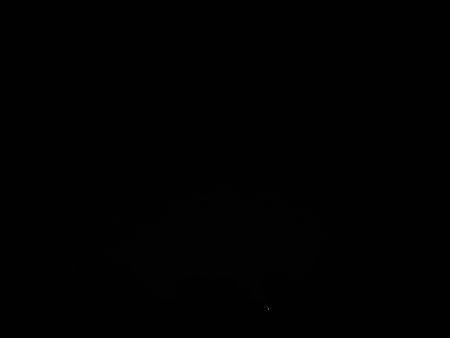 20210330_224023.jpg