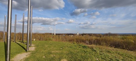 IMG_20210403_180604.jpg