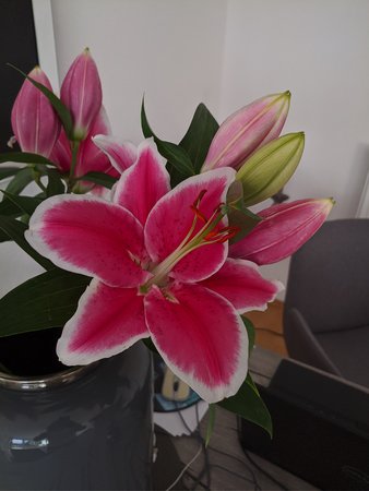 IMG_20210330_175557.jpg