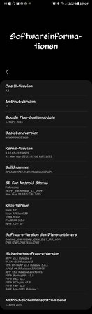 Screenshot_20210405-130934_Settings.jpg