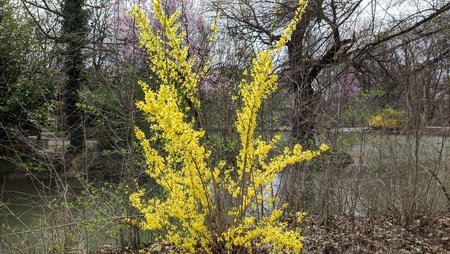 PXL_20210405_111840186.jpg