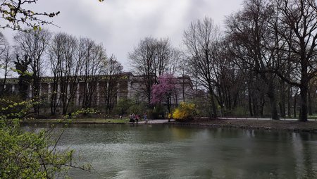 IMG_20210405_131945.jpg