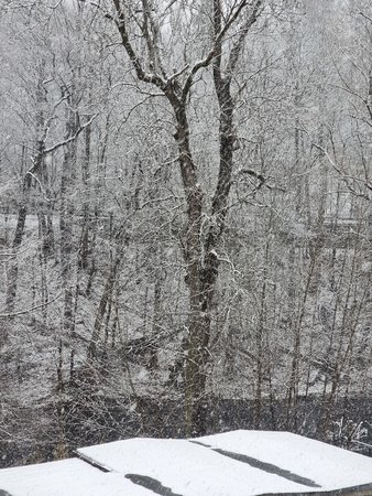 20210405_172151.jpg