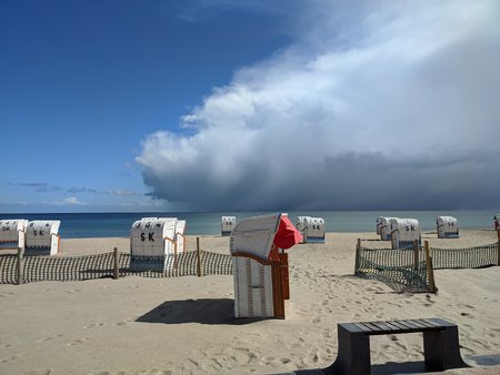 IMG_20210406_125521.jpg